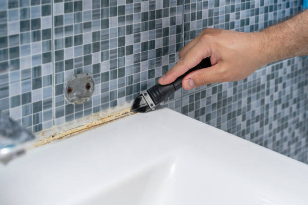 Best Basement Mold Remediation in Seaville, NJ